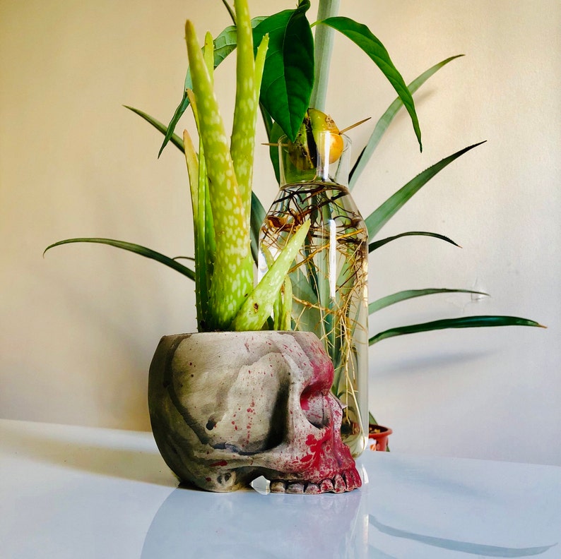 Skull pot Gift for Her Home Decor Gift Succulent Pot Faux Taxidermy Ceramic Planter Halloween Prop Halloween Decor Halloween Gift