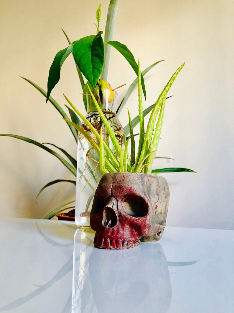 Skull pot Gift for Her Home Decor Gift Succulent Pot Faux Taxidermy Ceramic Planter Halloween Prop Halloween Decor Halloween Gift