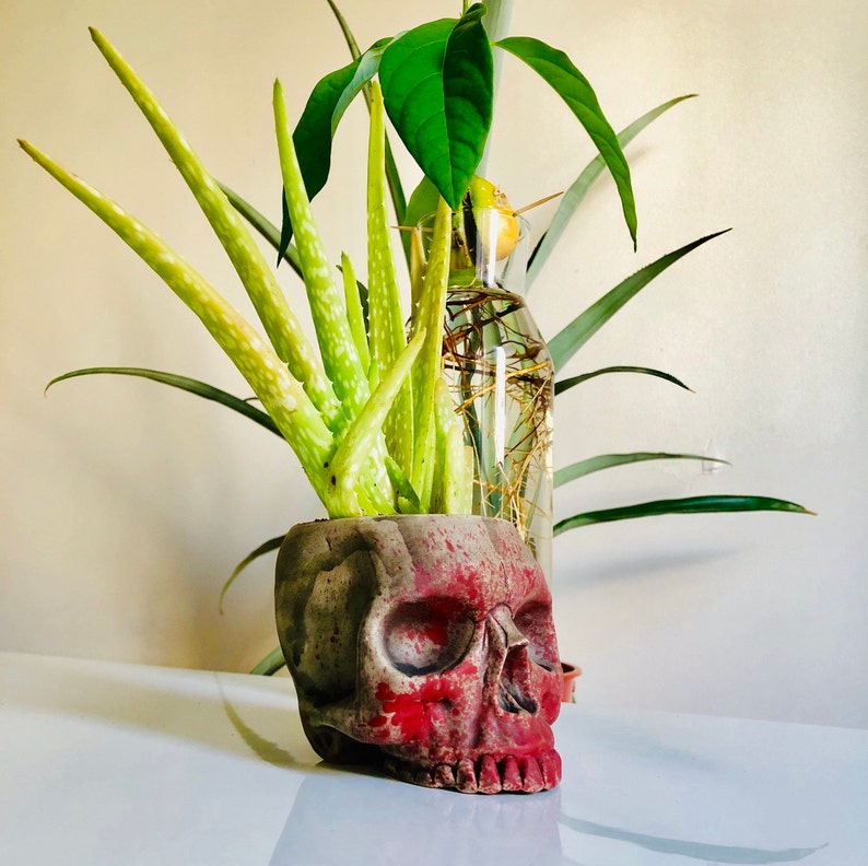 Skull pot Gift for Her Home Decor Gift Succulent Pot Faux Taxidermy Ceramic Planter Halloween Prop Halloween Decor Halloween Gift