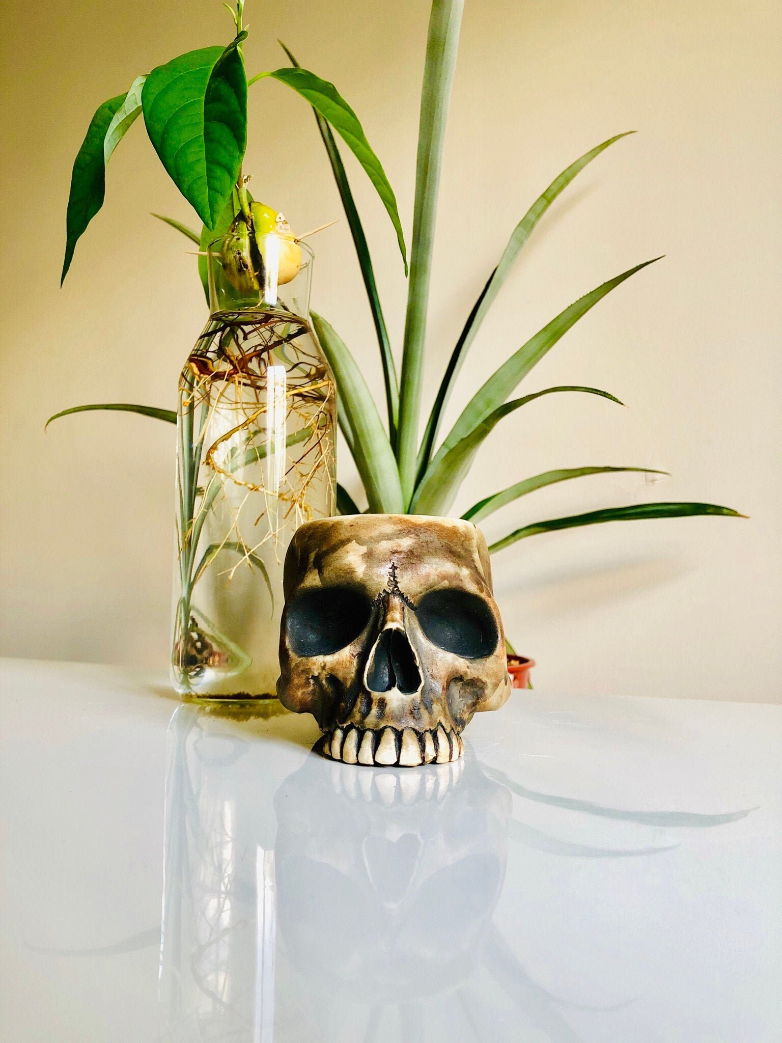 Skull pot Gift for Her Home Decor Gift Succulent Pot Faux Taxidermy Ceramic Planter Halloween Prop Halloween Decor Halloween Gift