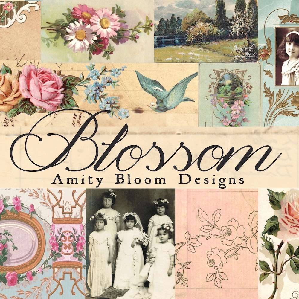 AmityBloom - Etsy