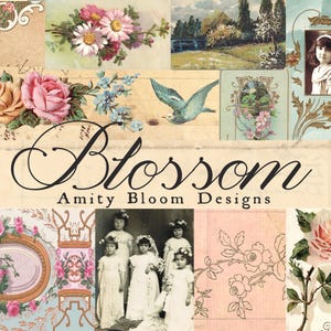 Puede incluir: Un collage con elementos florales y vintage. Incluye imágenes de rosas, margaritas, un paisaje y un retrato de una niña. La palabra "Blossom" está escrita en una elegante escritura, con "Amity Bloom Designs" debajo.