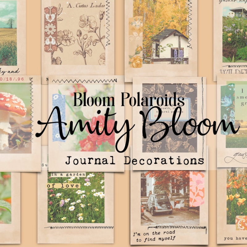 AmityBloom - Etsy