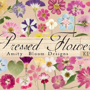 Pressblomspaket | Över 100+ blommor | Skärbara ephemera | Dagboksdekoration | Papperspyssel