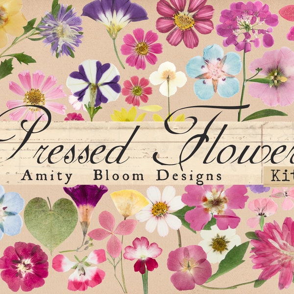 Kit de fleurs pressées | Plus de 100+ fleurs | Éphémères coupées difficiles | Décoration de journal | Artisanat en papier