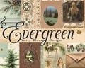 Evergreen | Vintage Decorative Paper & Journal Artist Kit | Journaling Kit