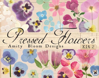 Pressed Flower Kit 2 | Over 100+ Flowers | Fussy Cut Ephemera | Journal Decoration | Paper Crafts