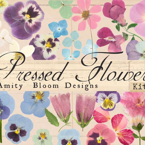 Pressed Flower Kit 2 | Over 100+ Flowers | Fussy Cut Ephemera | Journal Decoration | Paper Crafts