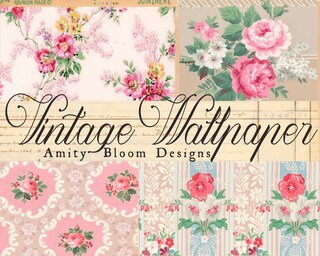 AmityBloom - Etsy