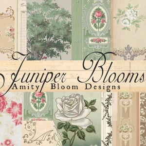 Flores de enebro / Kit de papel decorativo vintage