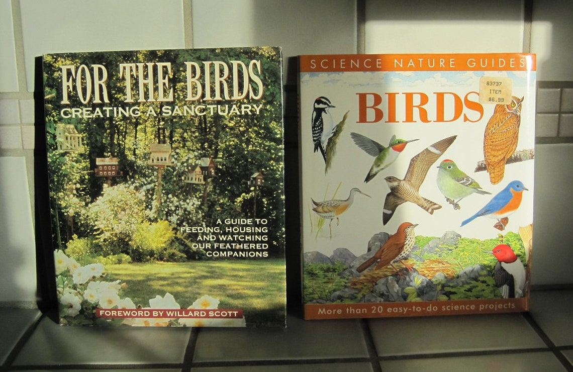 Vintage Bird Books Fun Bird Books Etsy