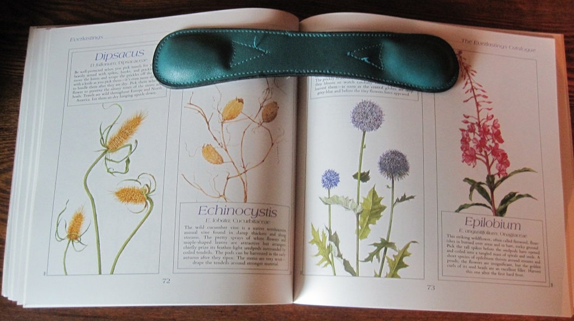 Dried Flowers Book The Complete Book of Dried Flower Etsy