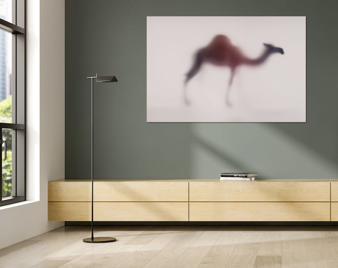 WILD LENS - DROMEDARY by Sven Pfrommer - 120x80cm Artwork is ready to hang