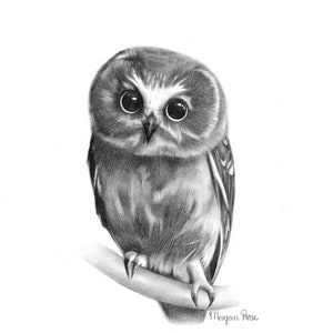 Owl Art Print, Owl Drawing Giclée Print, Wildlife Art, Bird Art, Wall Art, Cute Animal Art, Home Decor