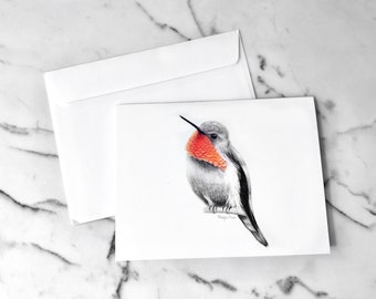 Illustrated Hummingbird Notecard, Blank, Ruby-Throated Hummingbird Drawing Cards, Blank Greeting Cards, Bird Notecards