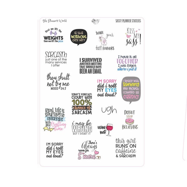 Sassy Planner Stickers - Snarky Saying Adulting Planner Stickers