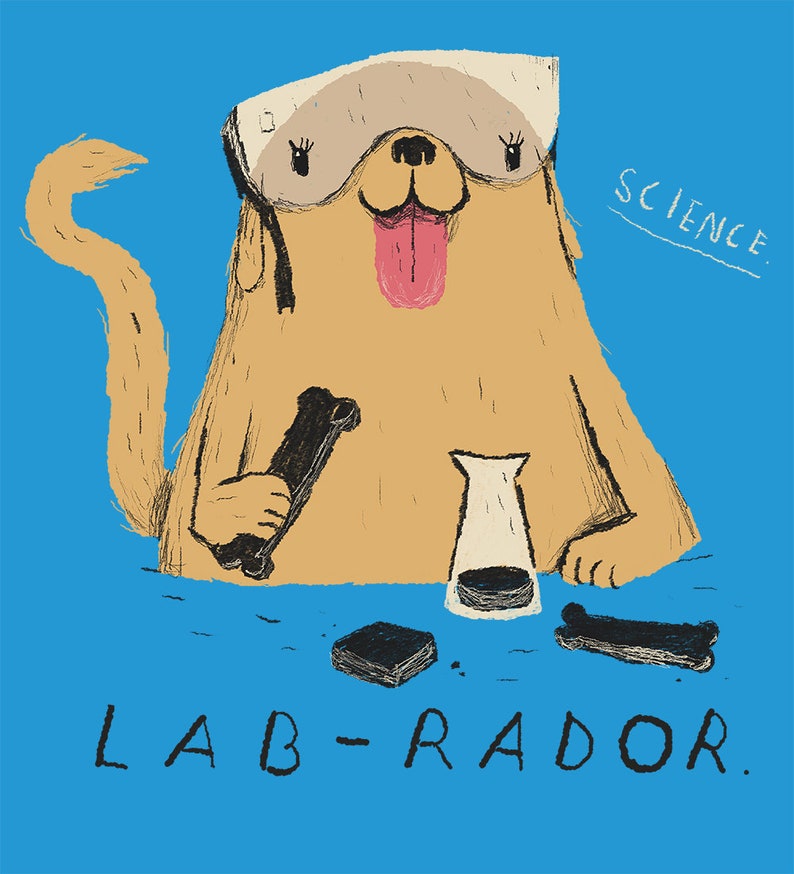 Funi Funi Lab