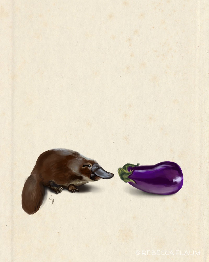 Platypus Makes a Friend 8x10 Art Print | Etsy