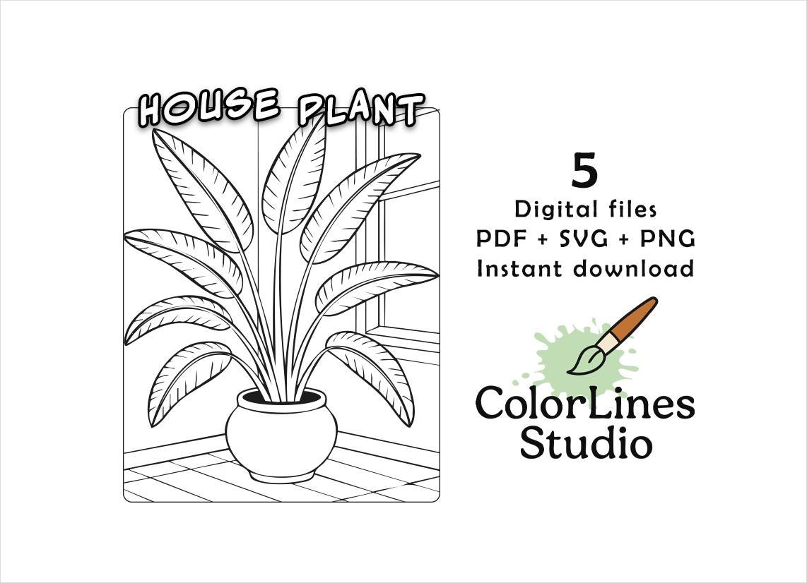 Macrame Coloring Trendy Plant Coloring Pages Bundle | Hanging Macrame Succulents ...