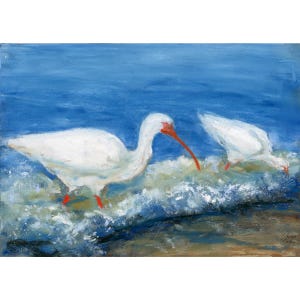 Art Print - White Ibises Fishing