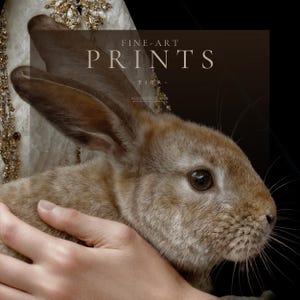 Close detail of Eira fine art print showing rabbit, hand, ivory gown texture, gold embellishment, and black cape