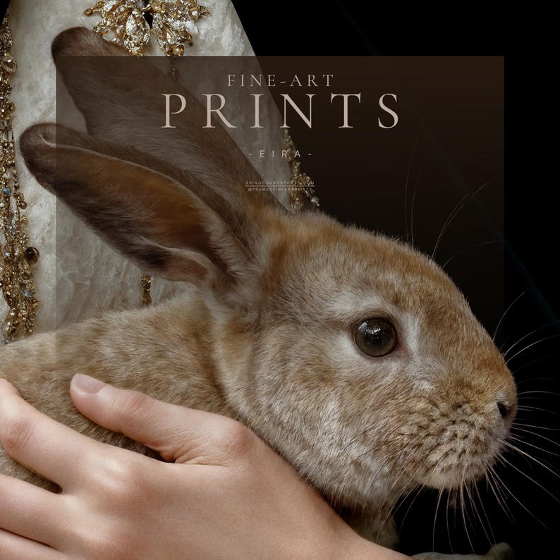 Close detail of Eira fine art print showing rabbit, hand, ivory gown texture, gold embellishment, and black cape