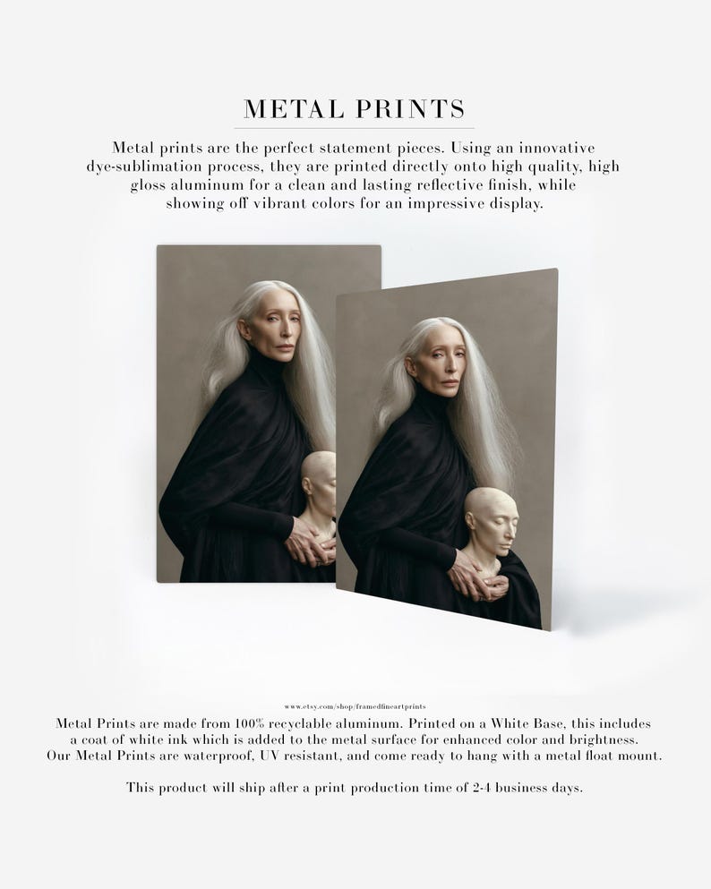 Astera | Surreal Portrait Print, Silver Hair Woman With Sculpture, Large Statement Wall Art Metal Print