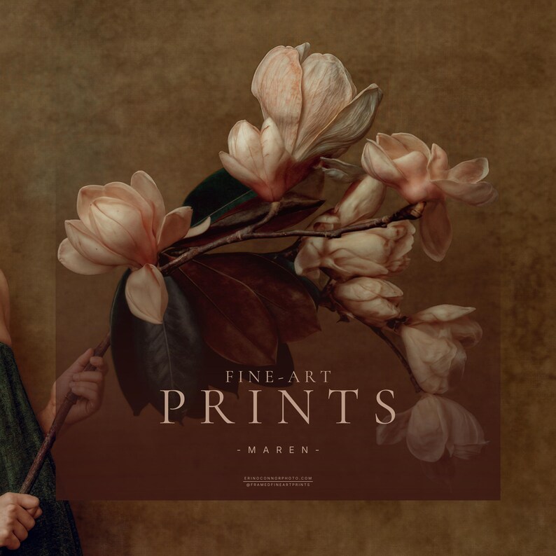 Close detail of the oversized magnolia branch in Maren with large ivory and blush flowers, dark leaves, and a warm painterly brown background.