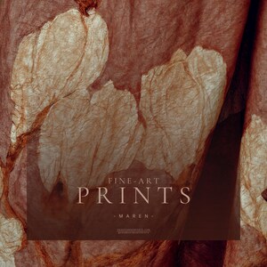 Close detail of Maren's dusty rose draped textile showing large ivory botanical forms and richly textured fabric.