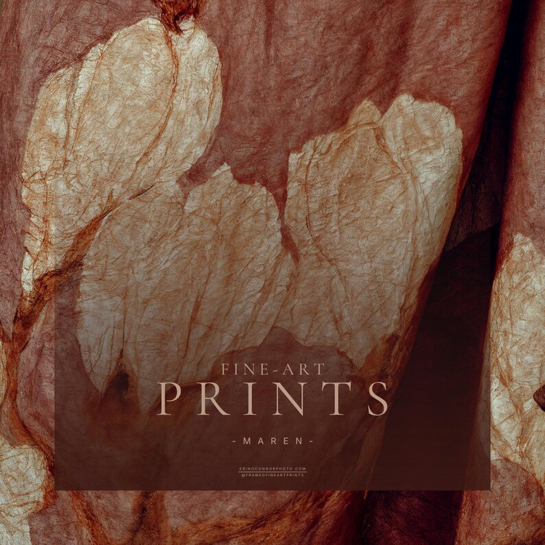 Close detail of Maren's dusty rose draped textile showing large ivory botanical forms and richly textured fabric.