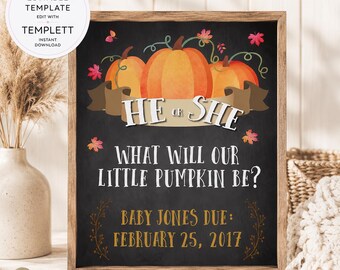 Vorlage für ein Schild zur Geschlechtsenthüllung mit kleinem Kürbis | Kreidetafel-Poster für die Herbst-Babyparty (Junge oder Mädchen) | Bearbeitbares Schild für die Geburt des Herbstbabys | Sofort-Download