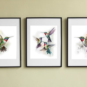 ハチドリの印刷可能な壁アート 3 枚セット、鳥のアート、イラスト、ダウンロード可能なアート、水彩画、室内装飾、デジタル アート、AI アート