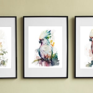Set of 3 White Cockatoo Macaw Printable Wall Art, Birds Art, Downloadable Art, Watercolor, Home Decor, Digital Art, AI Art