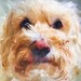 Custom Pet Portraits, Custom Portrait, Painting From Photo, Digital Painting, Custom Art, Dog Portrait, Cat Portrait 