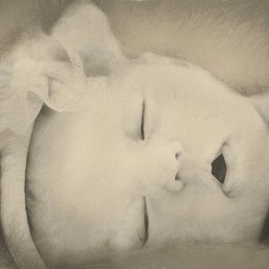 Custom Portrait Pencil Sketch from Photo image 4