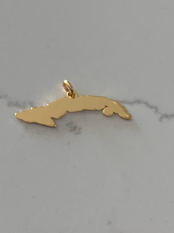 14K Gelbgold Diamant Krone Hundemarke Bild Anhänger Halskette | 1,4 C
