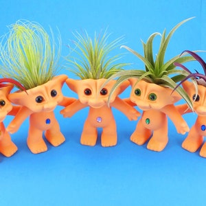 Air Plant in Troll Doll , Choice of Hair  Troll Doll Gift , Birthday Gift, Air Plant Gift,  Cute Gift, Surprise Gift,  Kid Gift Child's Gift