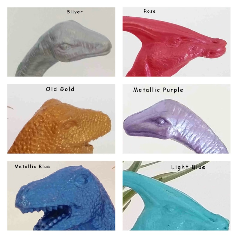 Surprise Gift Best Friend Gift Birthday Gift Personalize Your Color /& Style Dinosaur Planter Air Plant Gift Kid/'s Gift Desk Gift