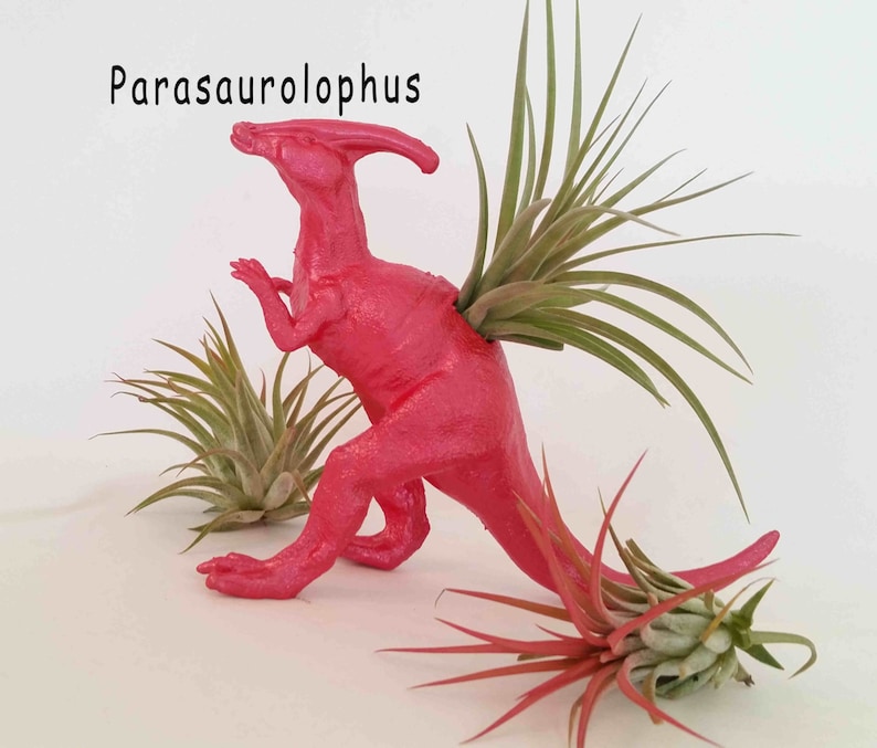 Surprise Gift Best Friend Gift Birthday Gift Personalize Your Color /& Style Dinosaur Planter Air Plant Gift Kid/'s Gift Desk Gift