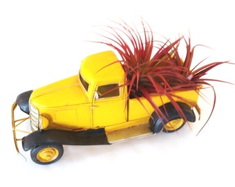 Vintage Metal Yellow Truck with Air Plants , Tillandsia , Great Gift , Home Decor , Office Decor