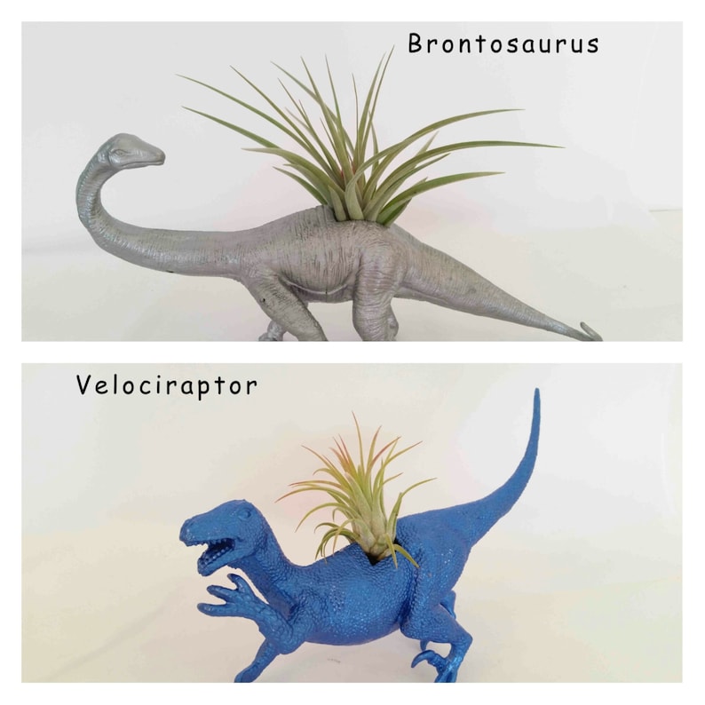 Surprise Gift Best Friend Gift Birthday Gift Personalize Your Color /& Style Dinosaur Planter Air Plant Gift Kid/'s Gift Desk Gift