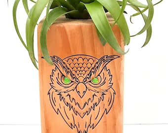 Engraved Wooden Planter with hole to recieve an Air  Plant, Re-Purposed wood , Air Plant Holder  Tillandsia , Home Decor