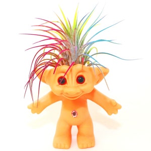 Rainbow Air Plant Troll Doll , Customize Air Plant Hair  in Troll Doll , Troll Doll Planter , Birthday Gift  Sweetheart Gift , Child's Gift