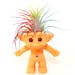 see more listings in the Air Plant Gifts  section