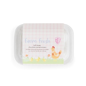 Farm Fresh Eraser Set - Pack of 6