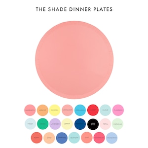 Shades Dinner Plates - Pack of 8 - 23 Color Options