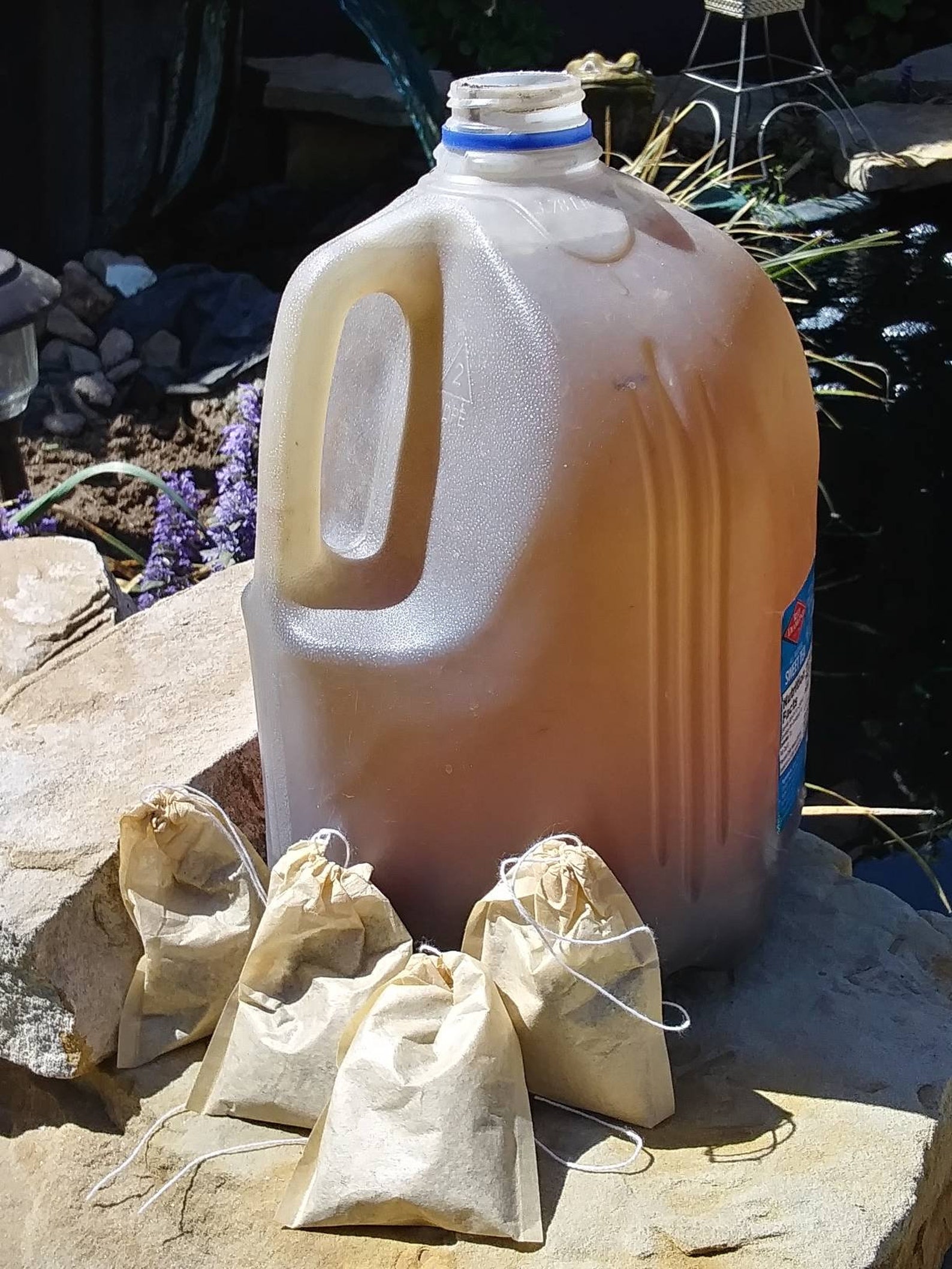 Chicken Chit Tea Chicken Compost Tea Chicken Manure Organic Etsy