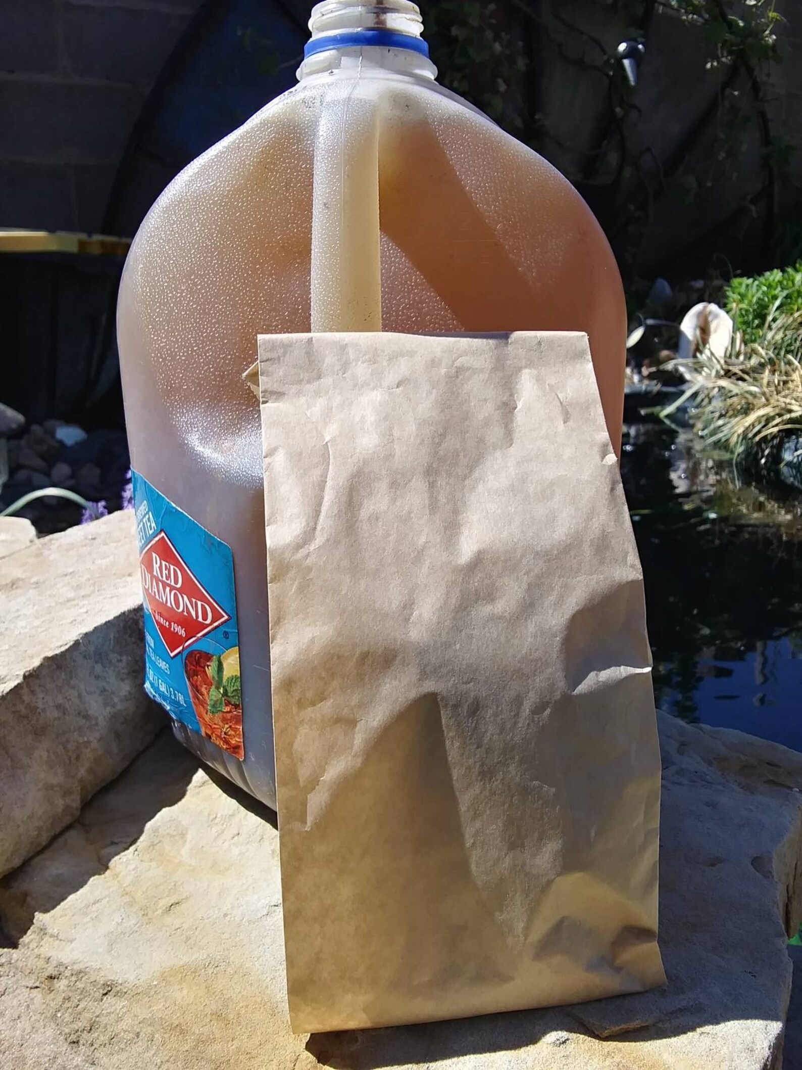 Chicken Chit Tea Chicken Compost Tea Chicken Manure Organic Etsy