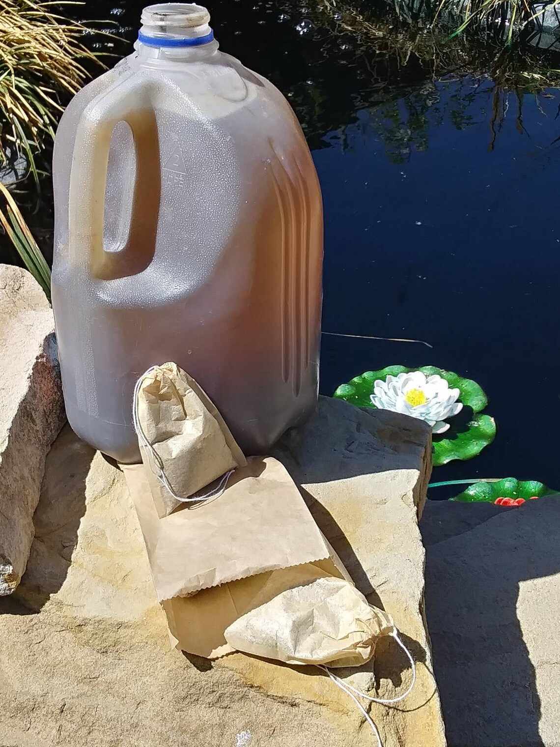 Chicken Chit Tea Chicken Compost Tea Chicken Manure Organic Etsy