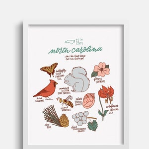 North Carolina State Symbols Illustration Print